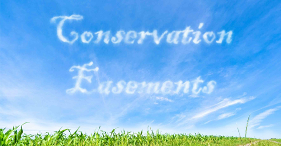 Conservation Easements are Under IRS Scrutiny