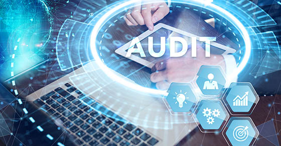 What are the Typical Steps in a DOL Audit?